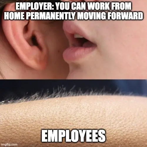 remote work meme