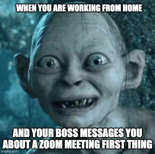 zoom meeting meme