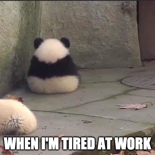 tired at work meme